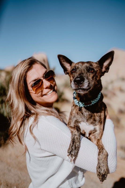 Hydration and Heat Stroke: Tips on keeping your dog safe in the heat. - Outback Hound