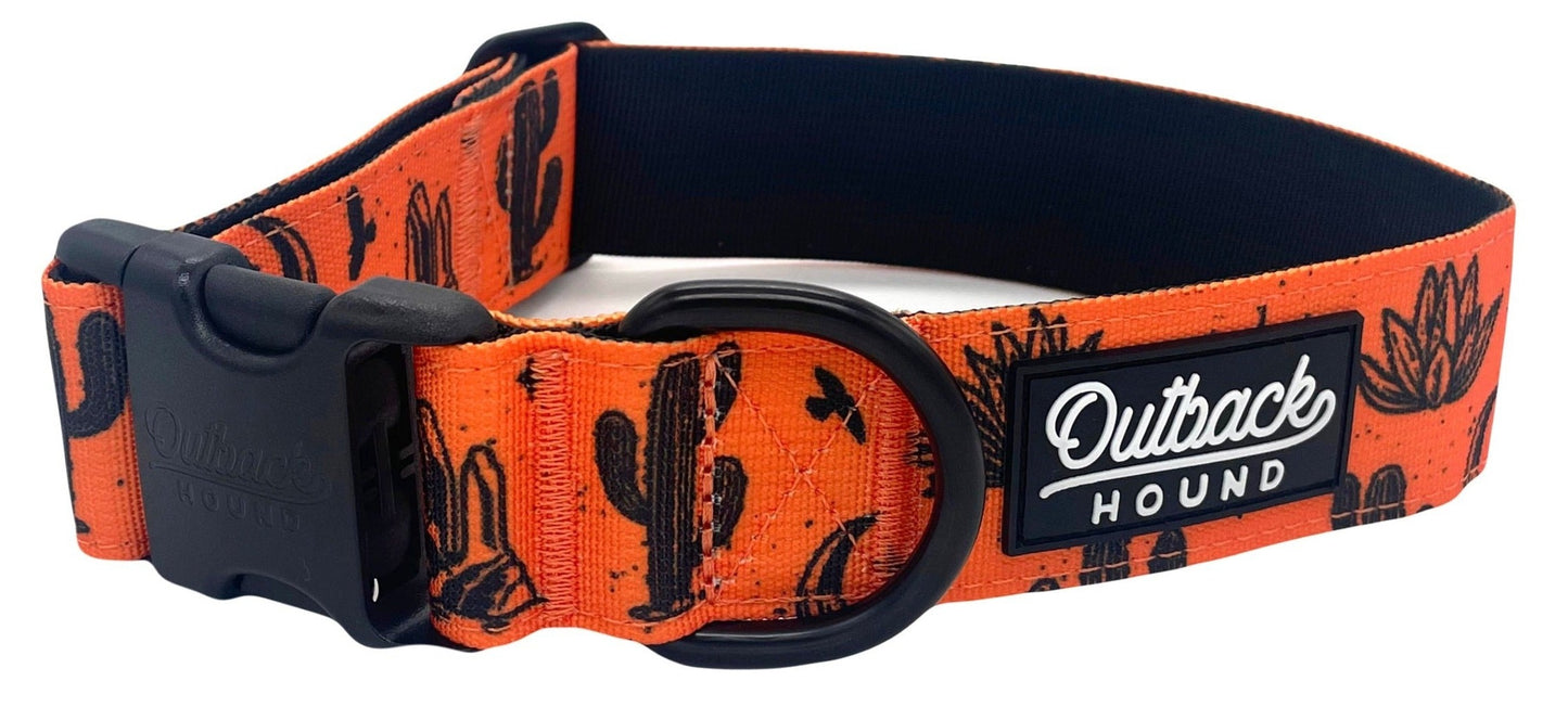 Orange Agave Collar - Outback Hound