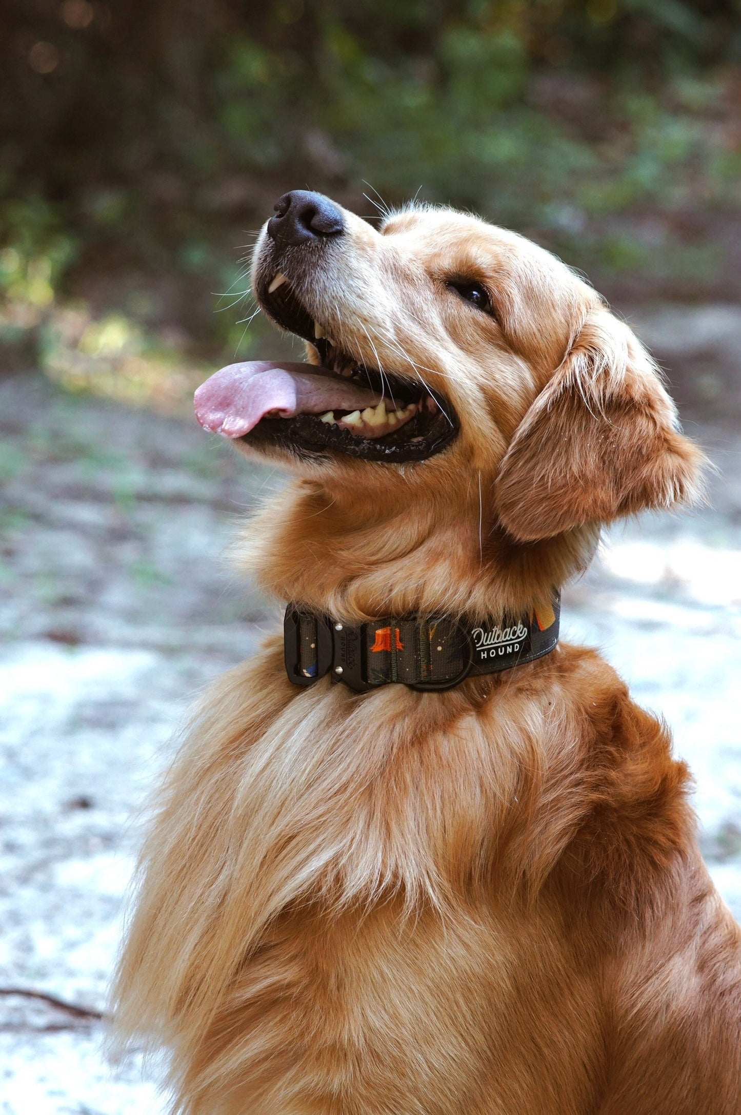 Enchanted Forest Collar