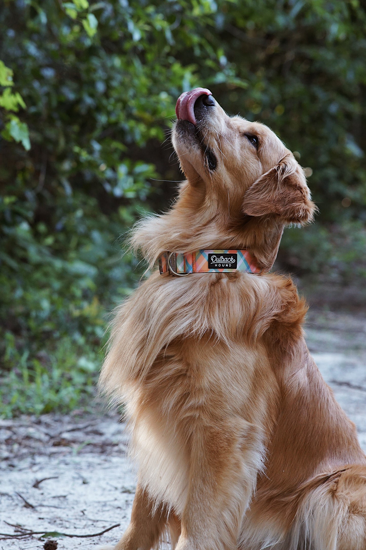 Summer Plaid Collar