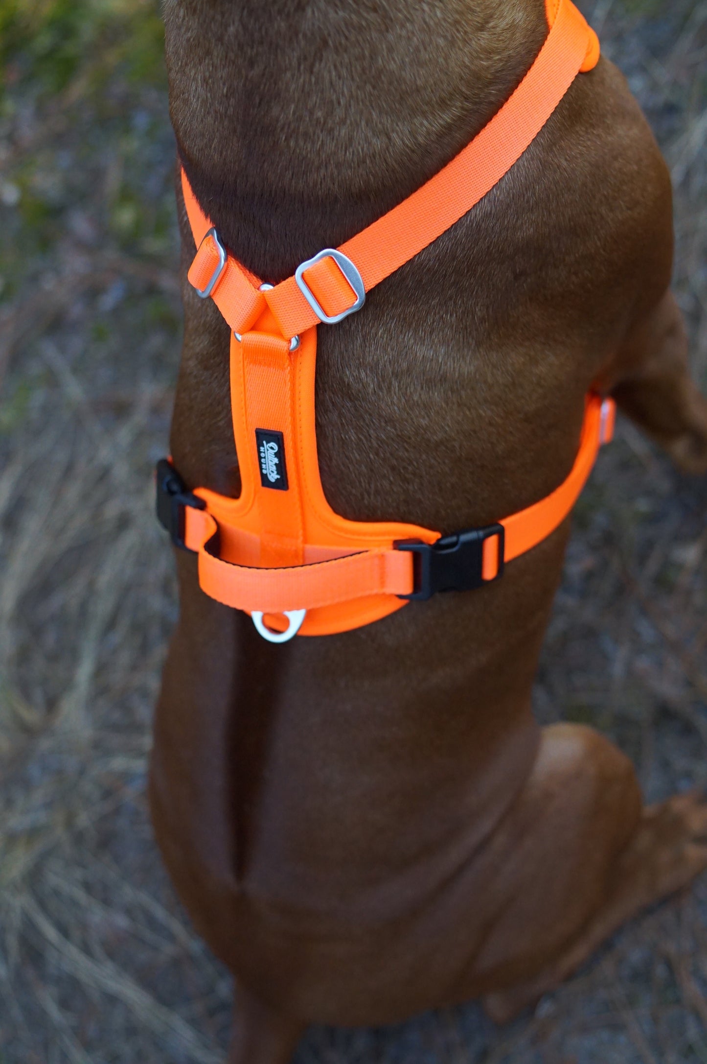 Hunter Orange - Ultra Lite Comfort Harness - Outback Hound