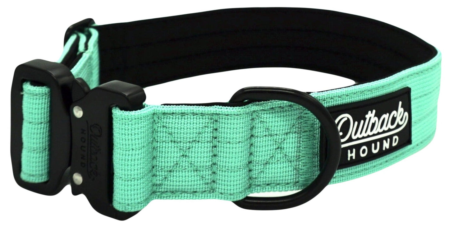 Mint Premium Collar - Outback Hound