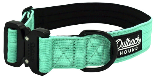 Mint Premium Collar - Outback Hound