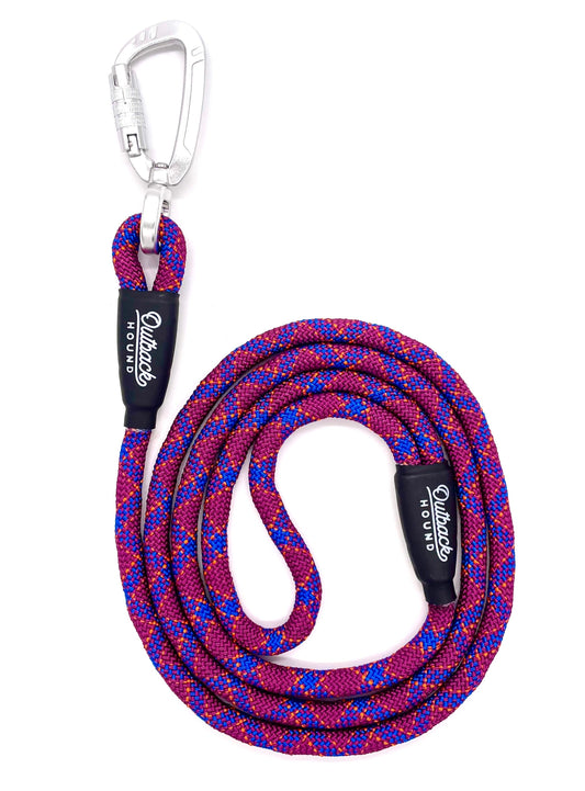 Swivel All-Terrain Dog Leash - Purple