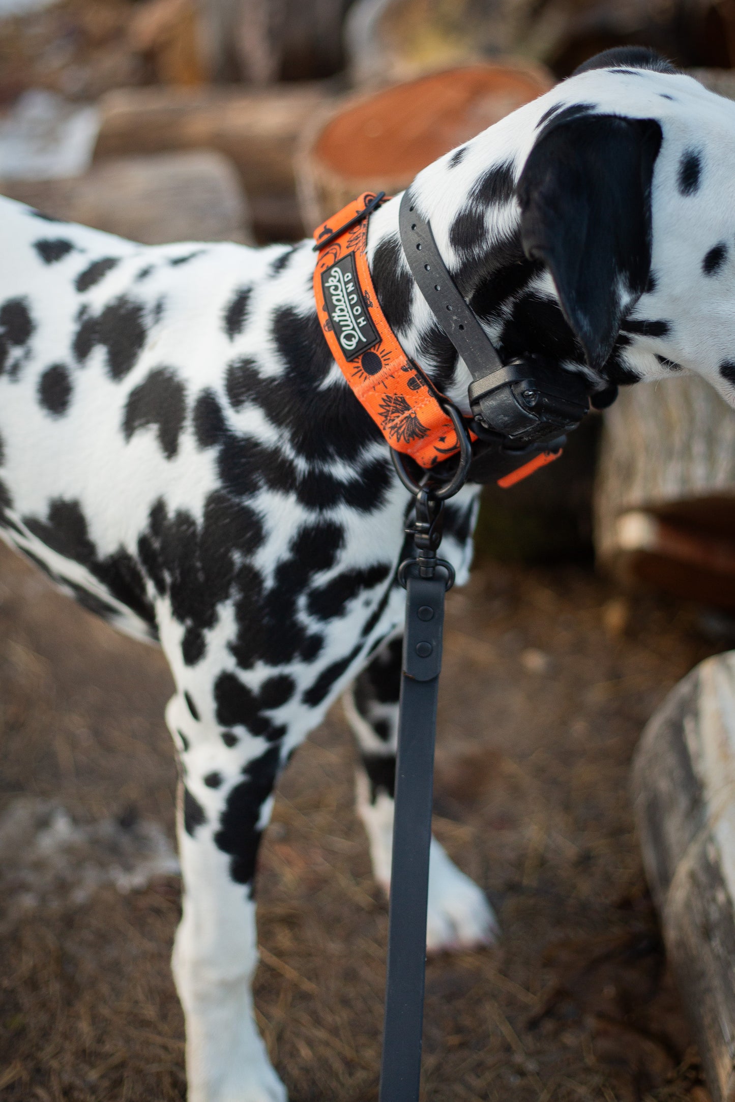 Orange Agave Collar - Outback Hound