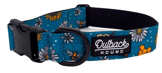Bees Knees Teal Collar - Outback Hound