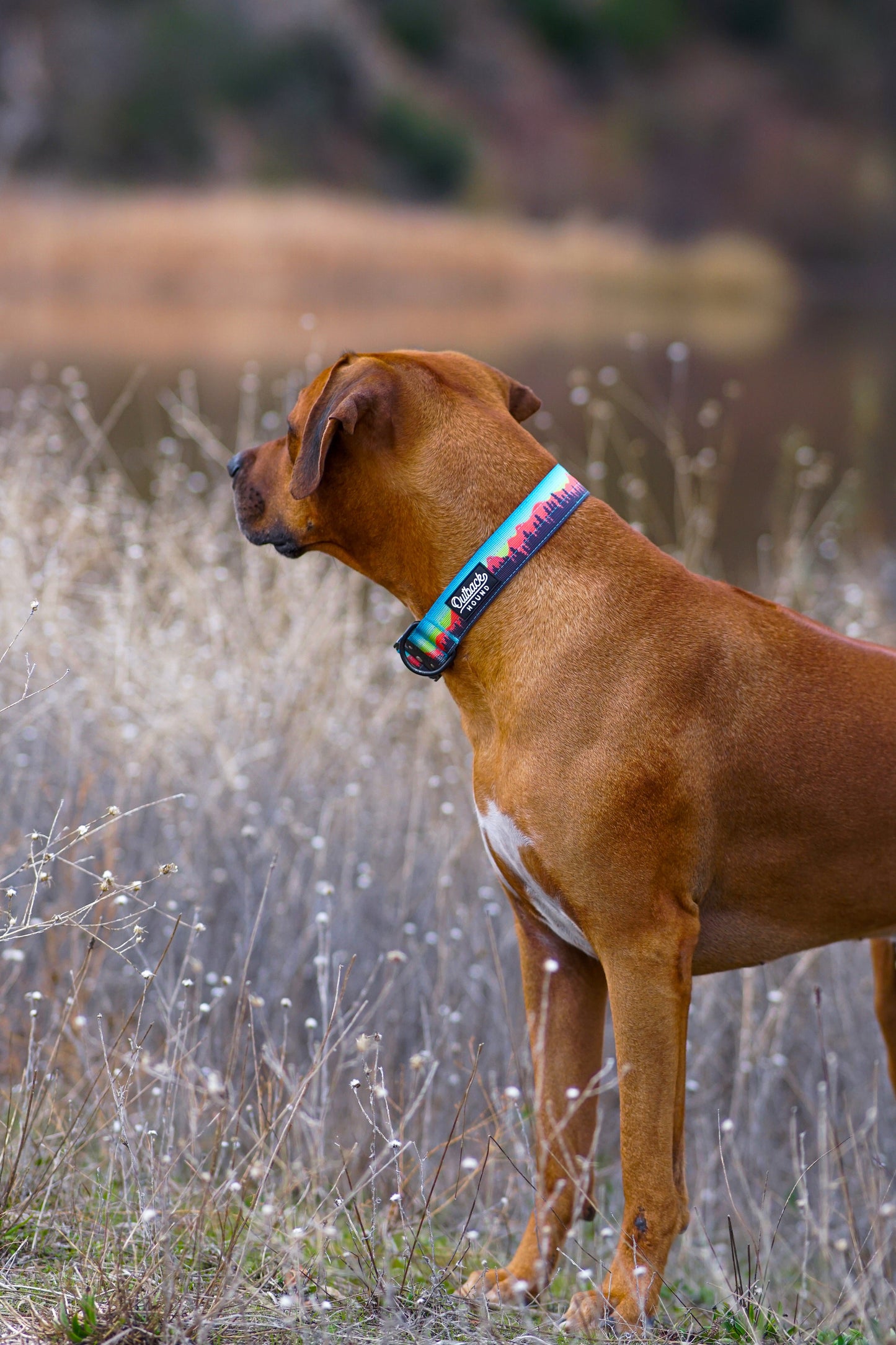 Mountain Sunset Collar