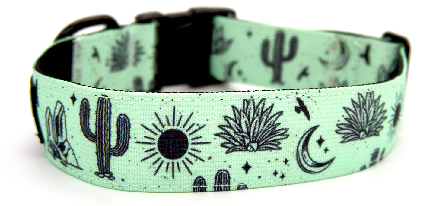 Agave Dog Collar - Outback Hound