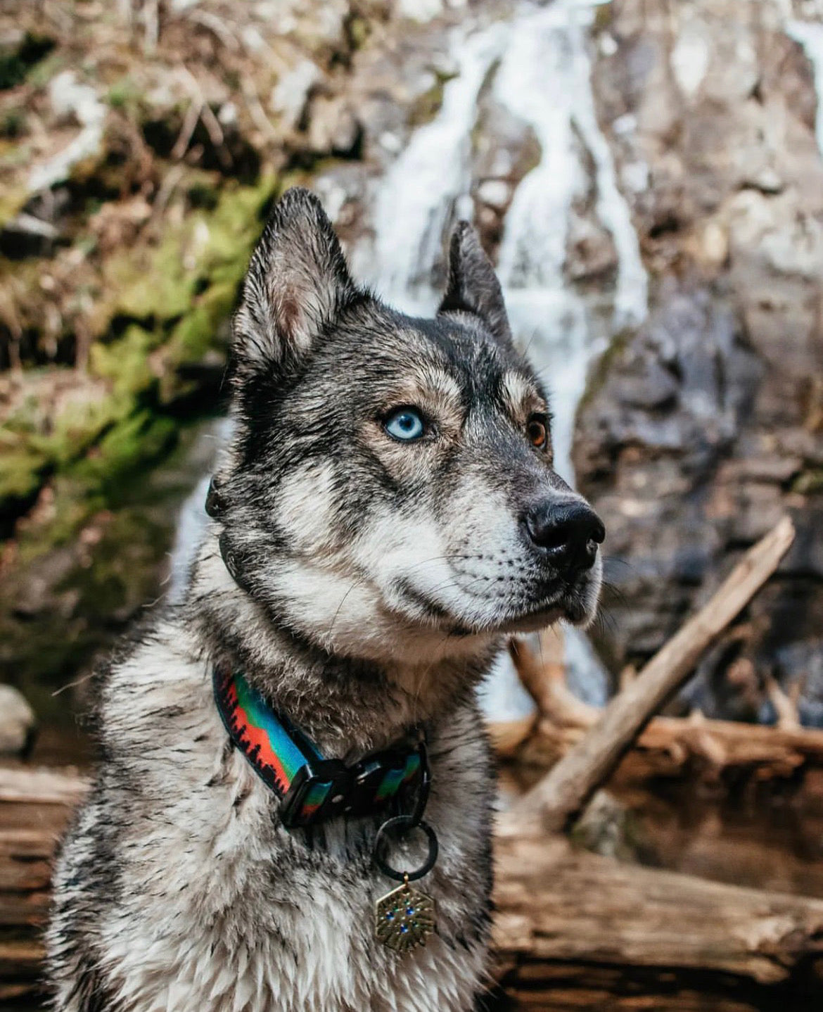 Mountain Sunset Collar