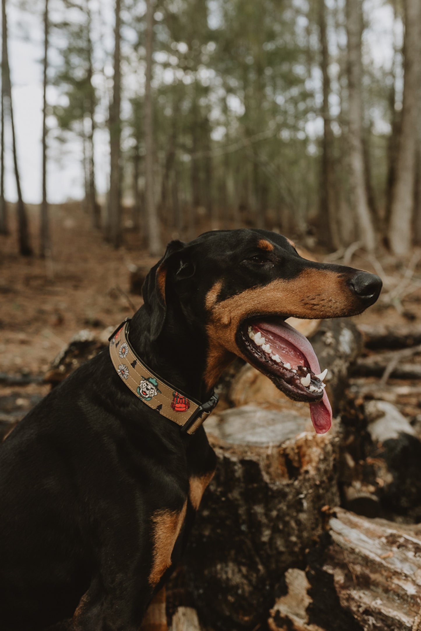 National Barks Collar - Outback Hound