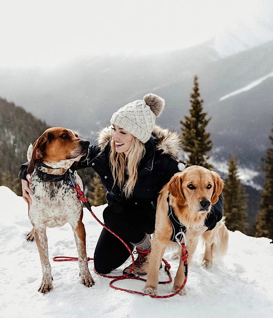 Outback Hound's first pack hike in Canada