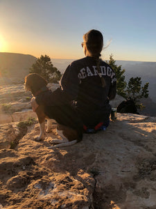 National Parks Edition: A dog friendly guide to hiking the Grand Canyon