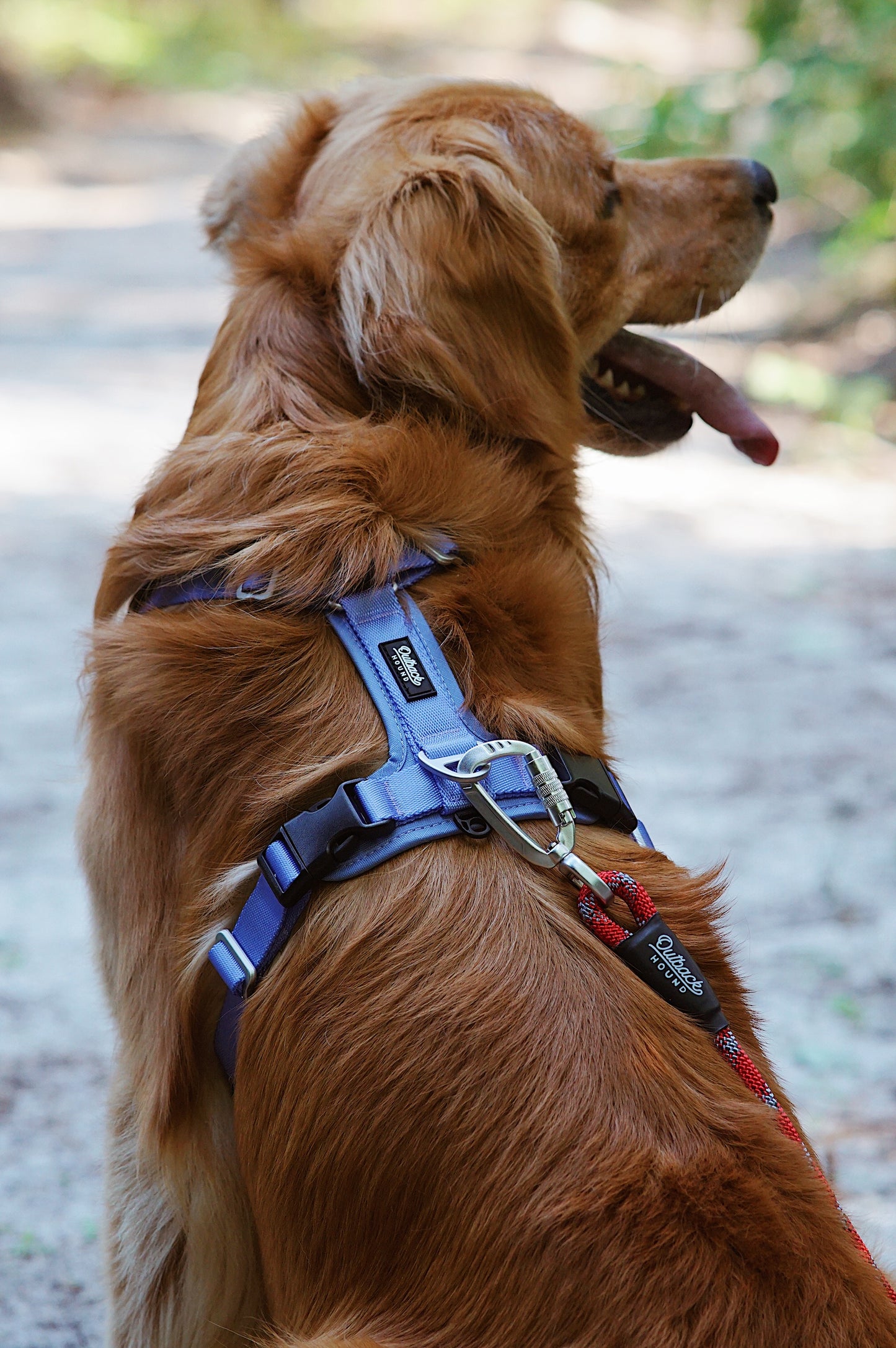 Ultra Lite Comfort Harness - Periwinkle