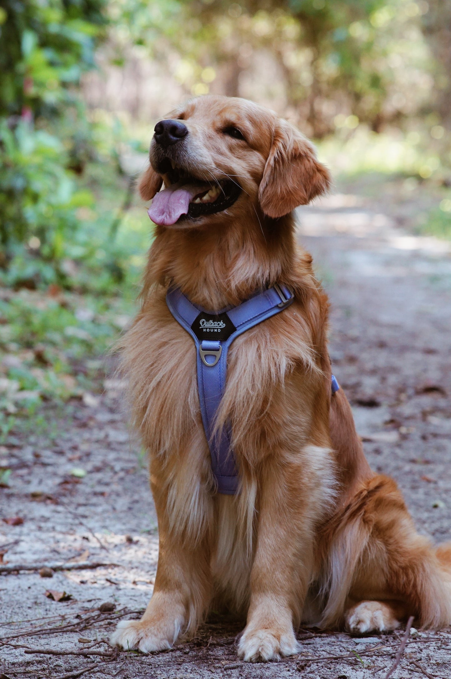 Ultra Lite Comfort Harness - Periwinkle