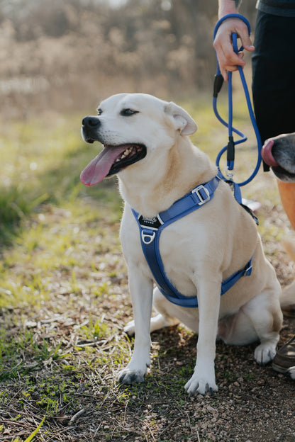 Periwinkle - Ultra Lite Comfort Harness
