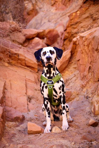 Moss Green - Ultra Lite Comfort Harness