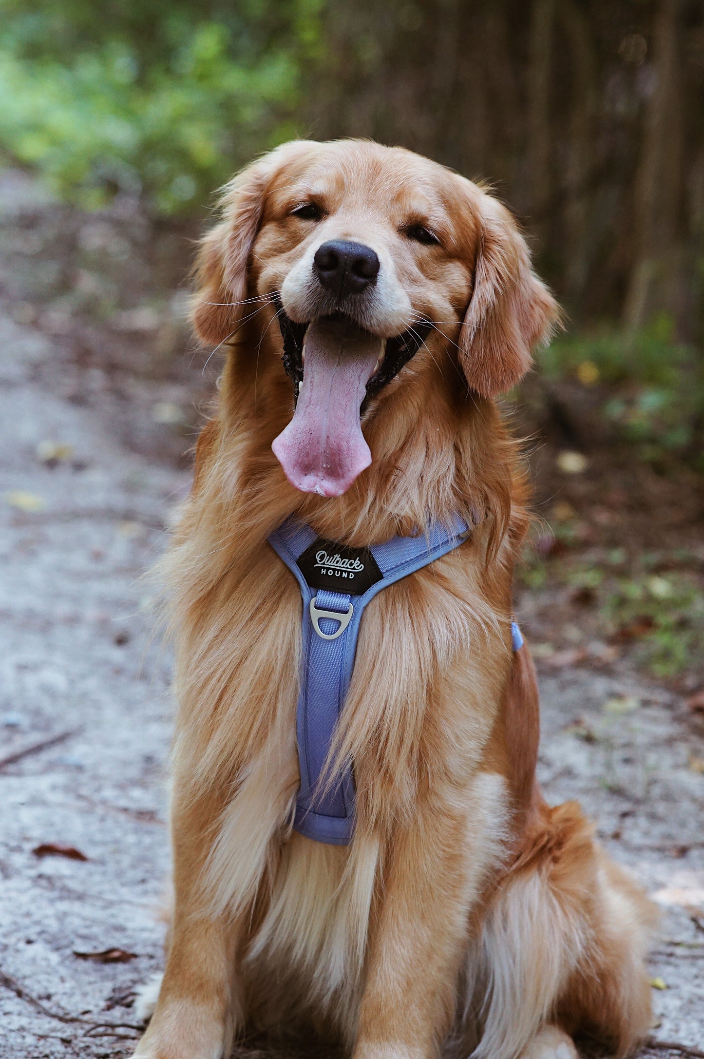 Ultra Lite Comfort Harness - Periwinkle