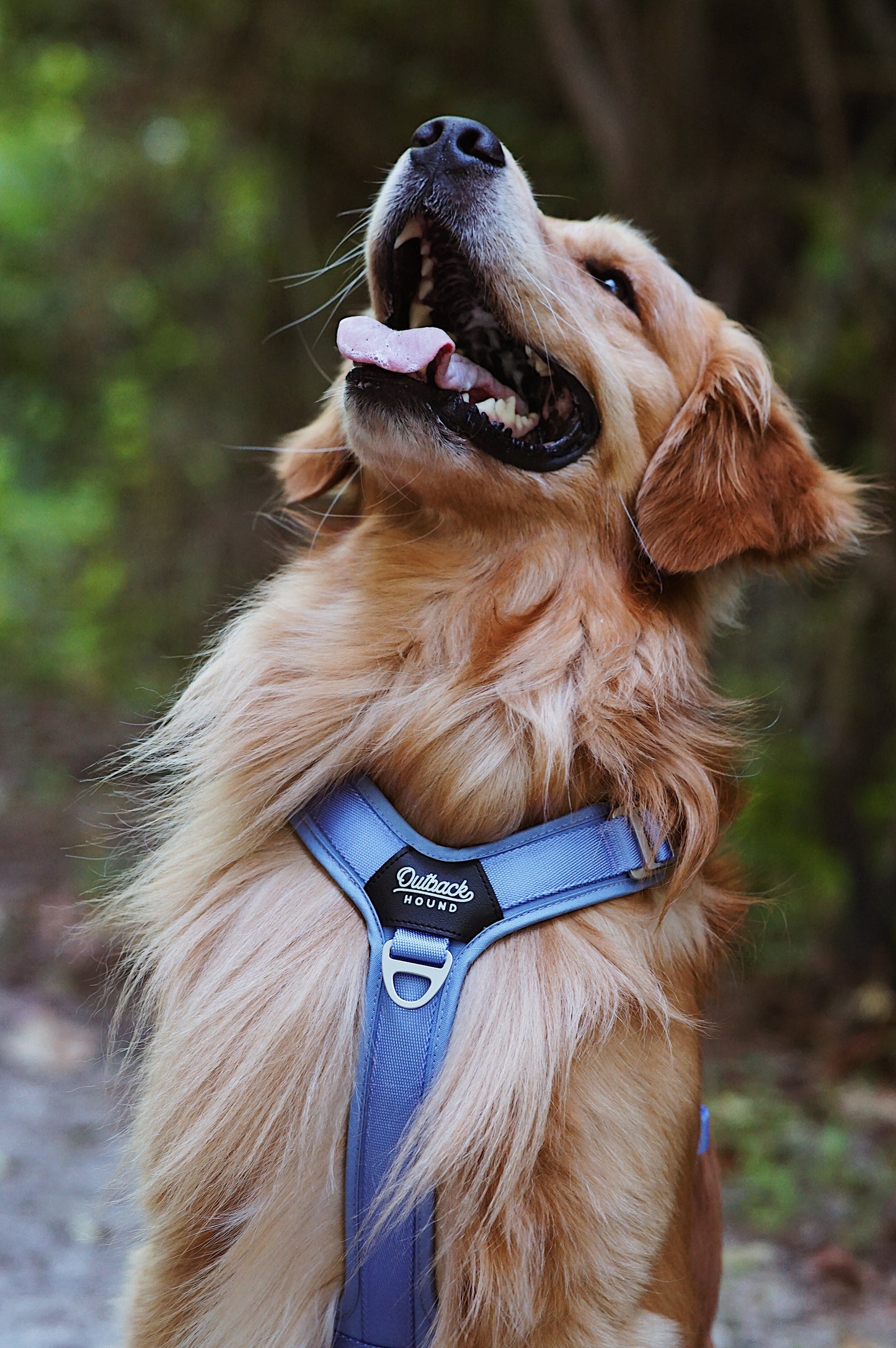 Ultra Lite Comfort Harness - Periwinkle