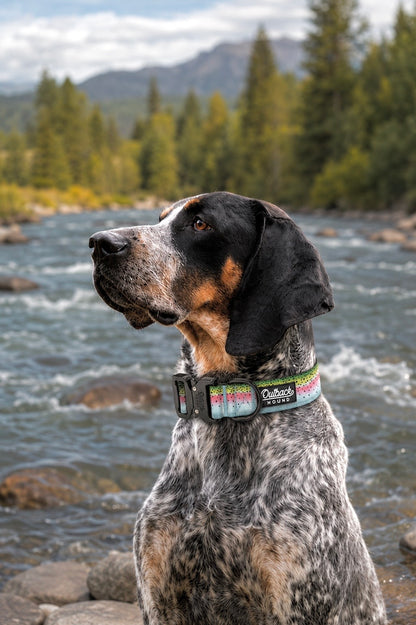 Rainbow Trout Dog Collar