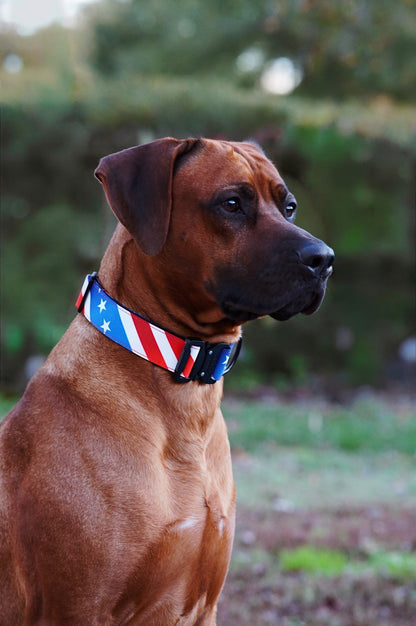 The Patriot Dog Collar