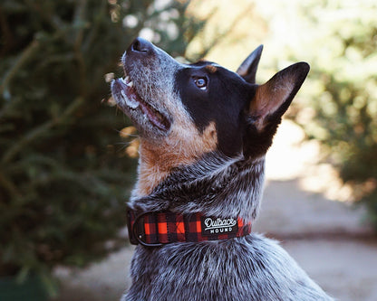 Classic Plaid Dog Collar - Outback Hound