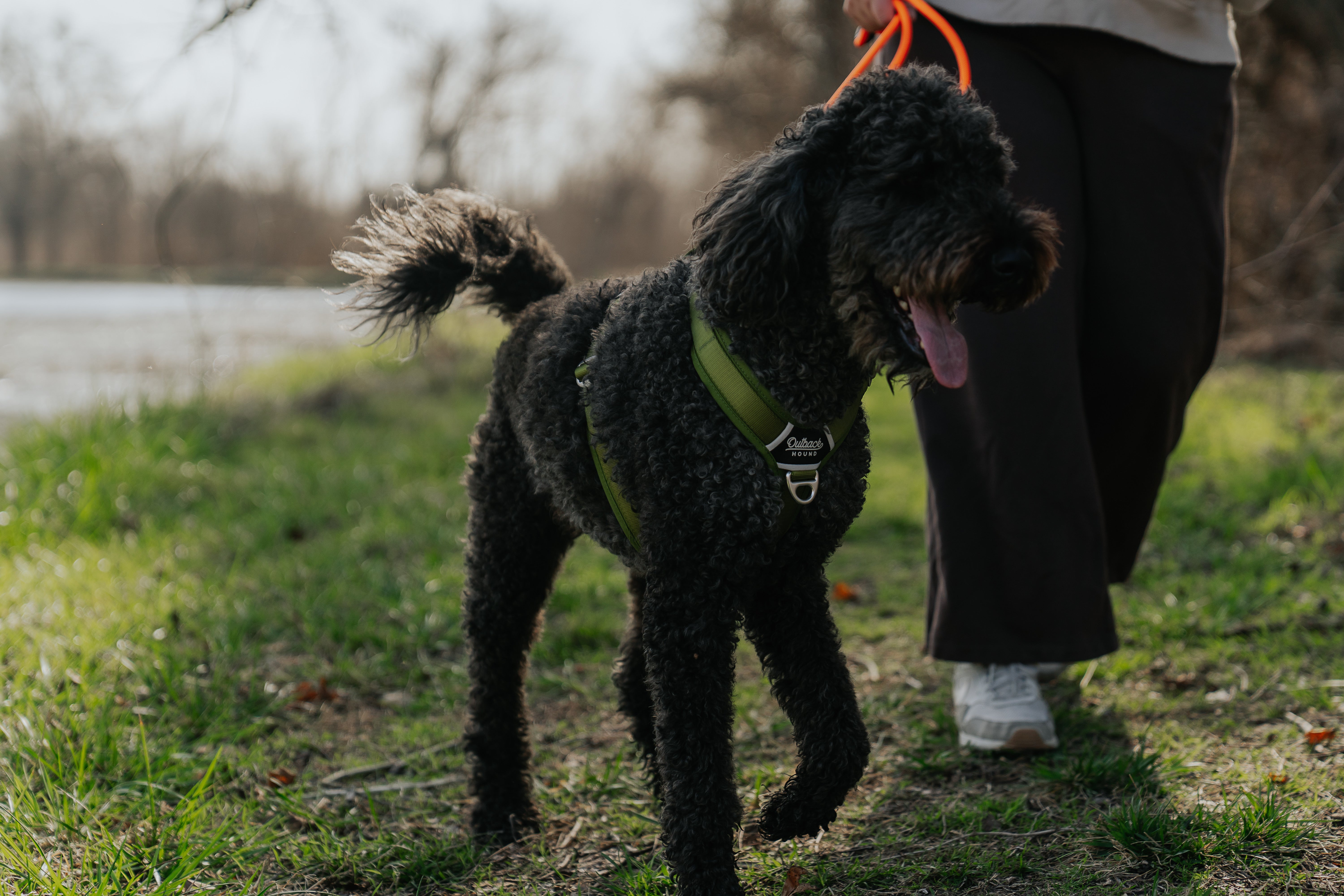 Lightweight Dog Harness - Moss Green Ultra Lite | Outback Hound
