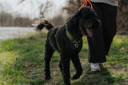 Moss Green - Ultra Lite Comfort Harness