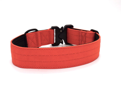 Burnt Orange Premium Collar - Outback Hound