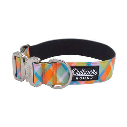 Summer Plaid Dog Collar - Outback Hound
