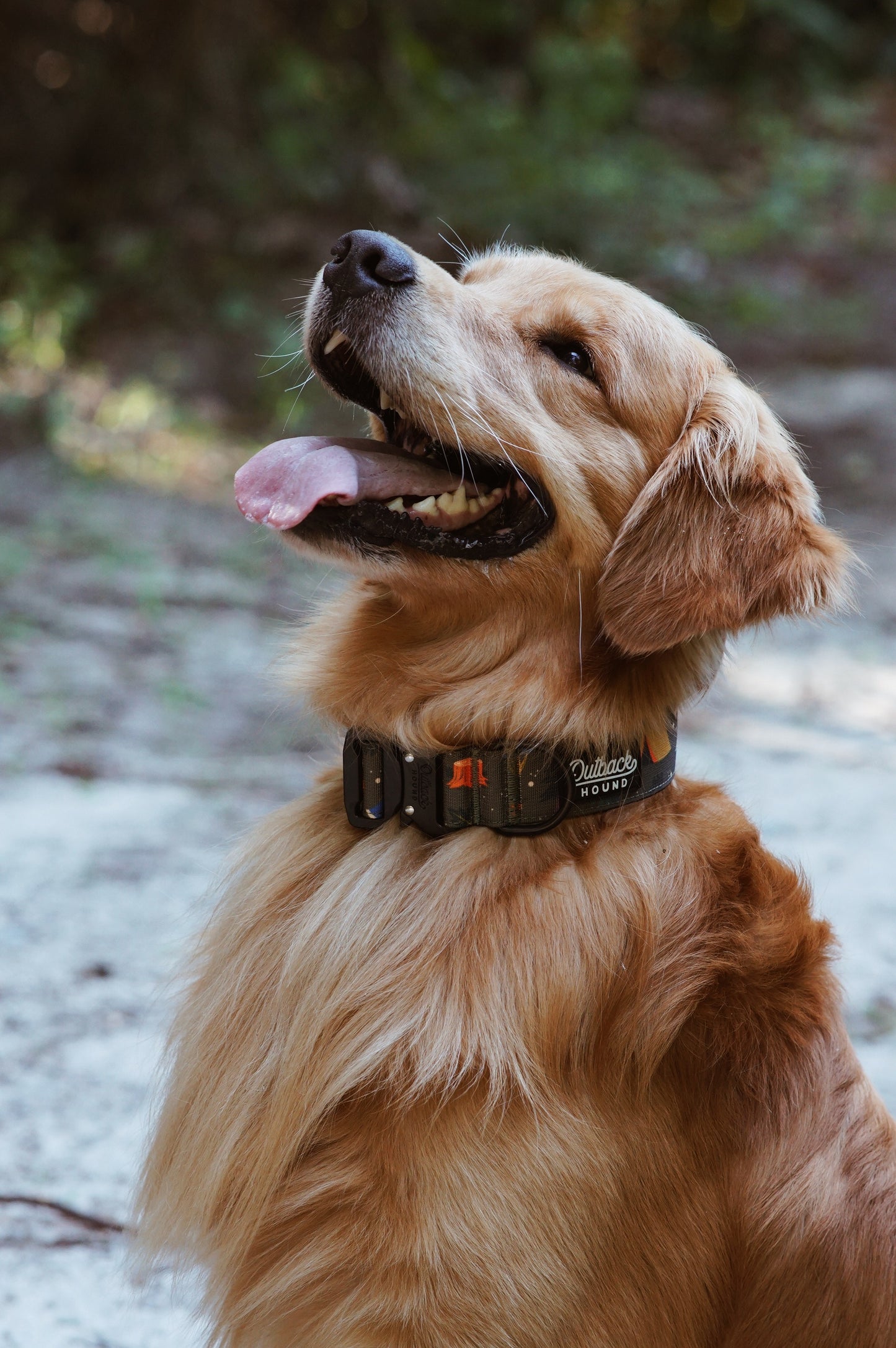 Enchanted Forest Collar