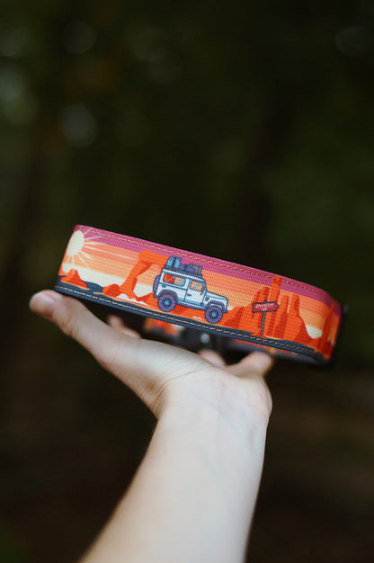Adventure On Dog Collar - Outback Hound