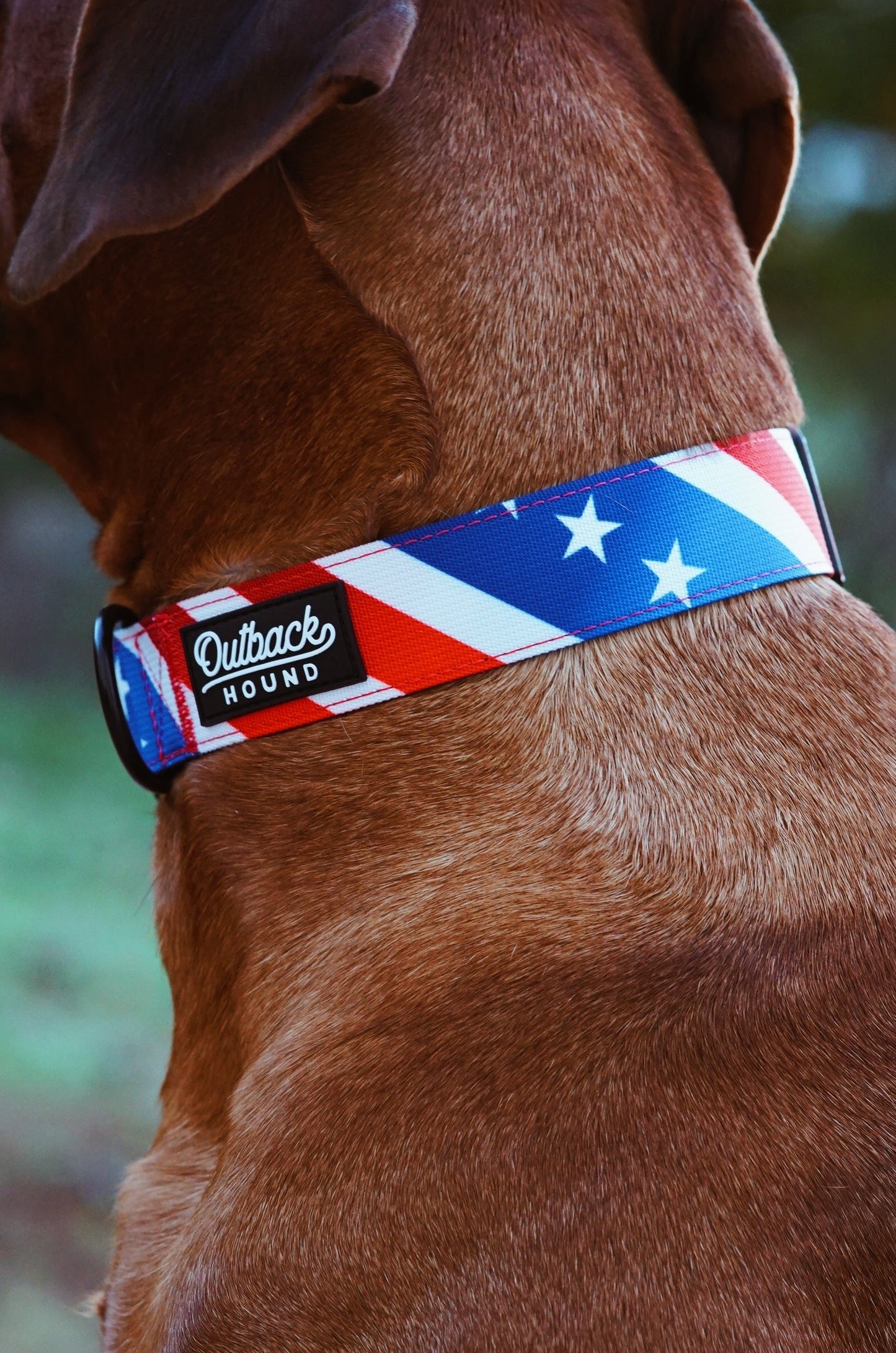 The Patriot Dog Collar
