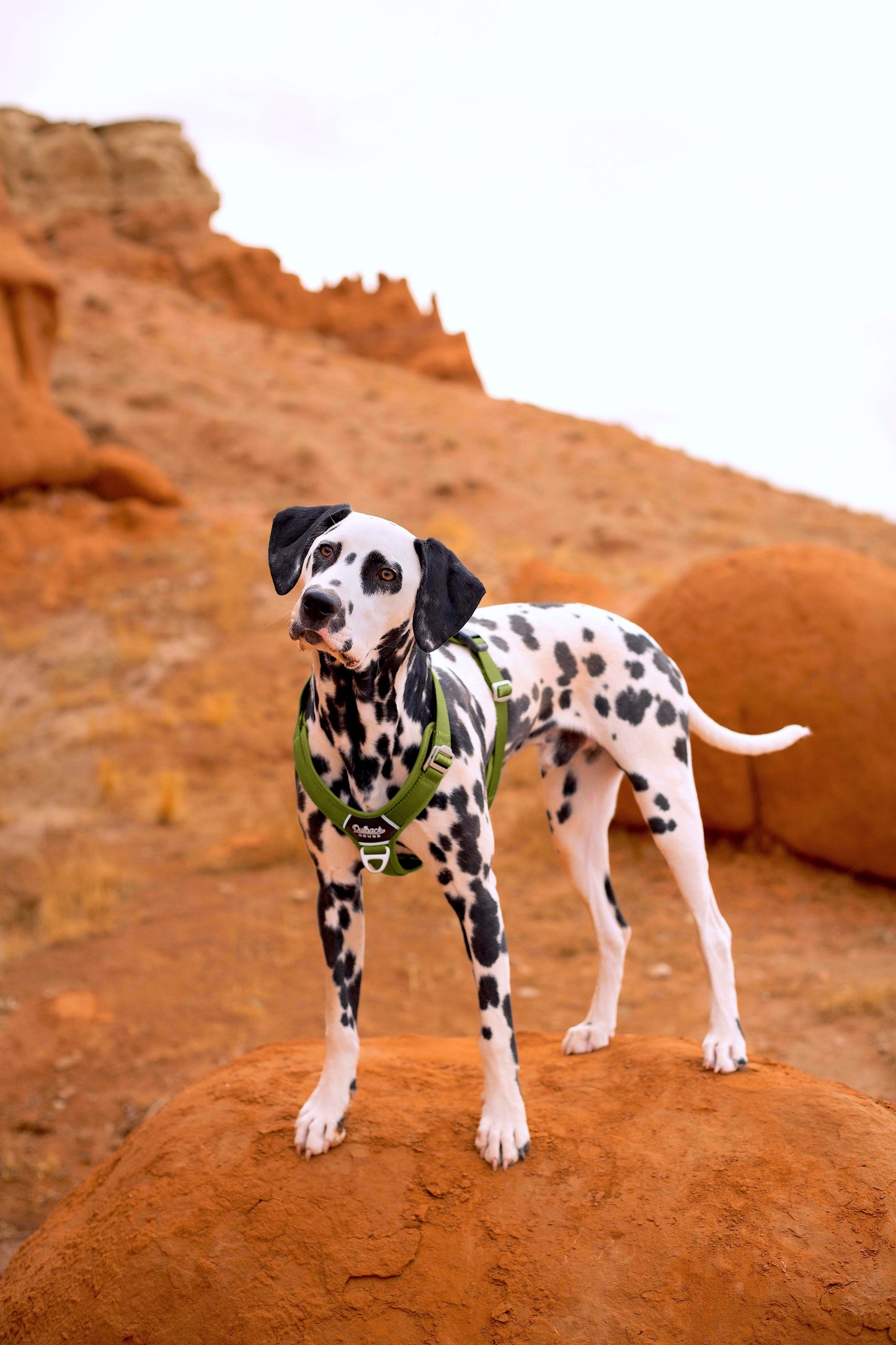 Moss Green - Ultra Lite Comfort Harness