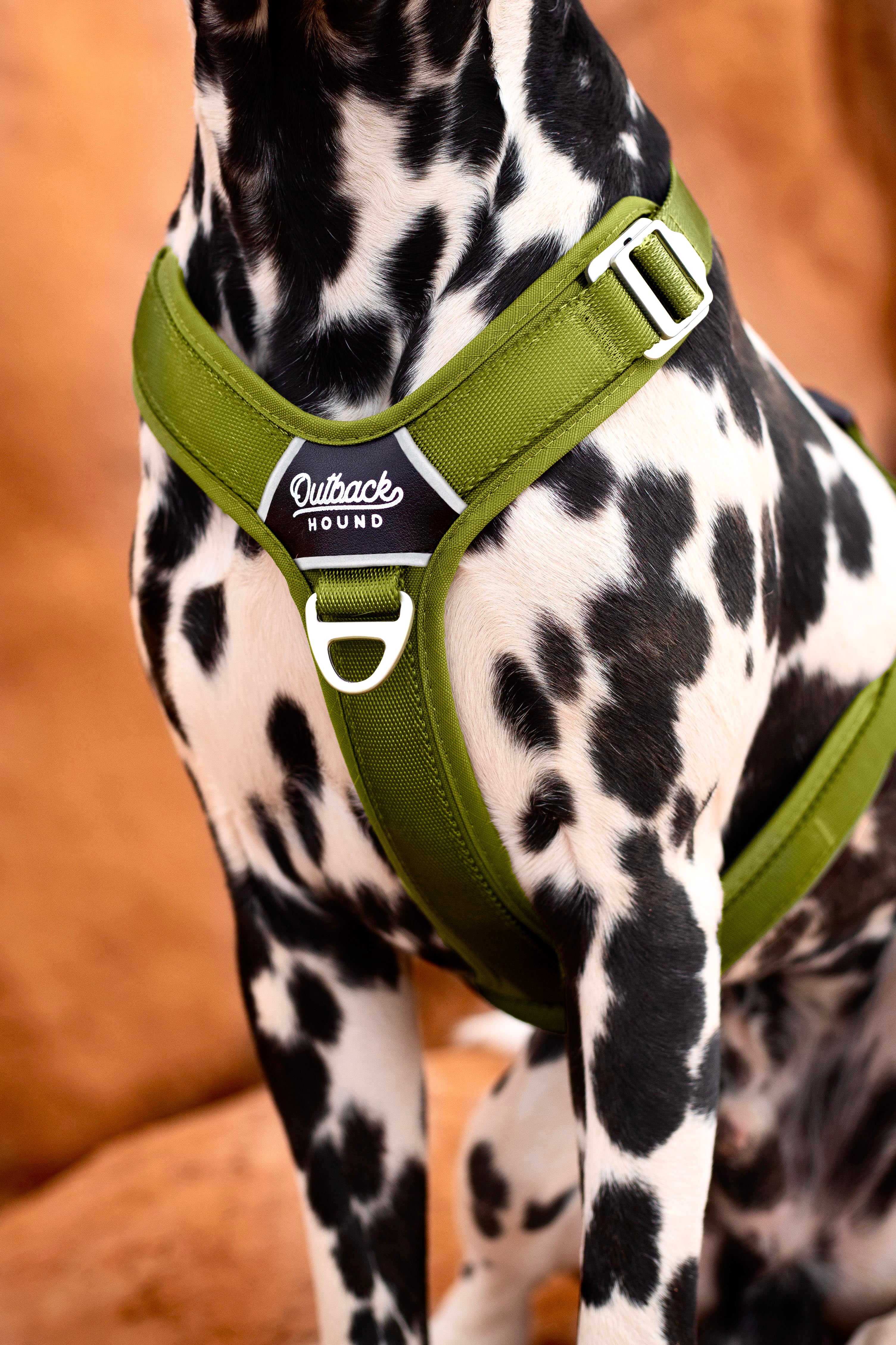 Lightweight Dog Harness - Moss Green Ultra Lite | Outback Hound
