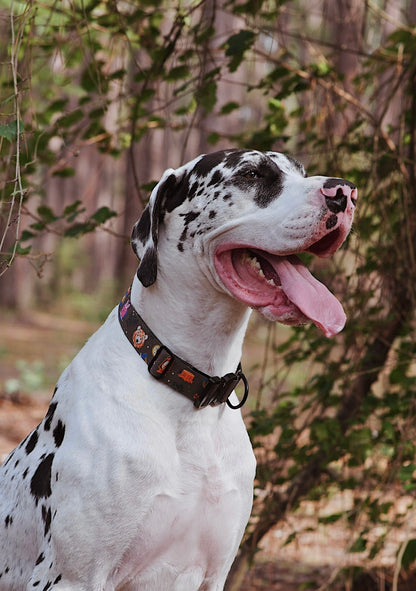 Enchanted Forest Dog Collar - Outback Hound