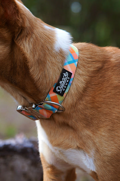 Summer Plaid Dog Collar - Outback Hound