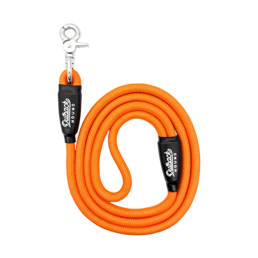 Hunter Orange Everyday Dog Leash