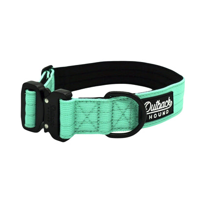 Mint Premium Collar - Outback Hound