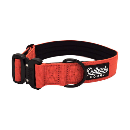 Burnt Orange Premium Collar - Outback Hound