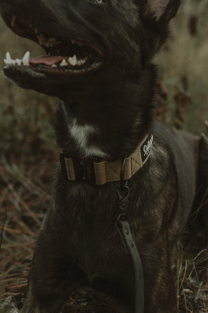 Tan Premium Collar - Outback Hound