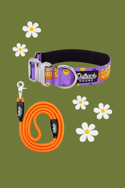 Retro Good Vibes Collar