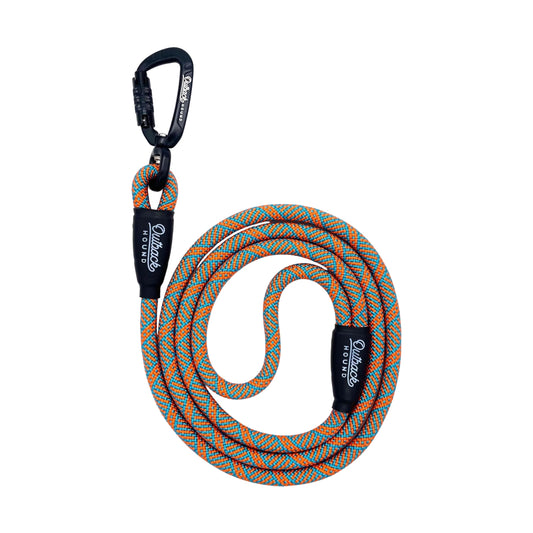 Swivel All-Terrain Dog Leash - Orange