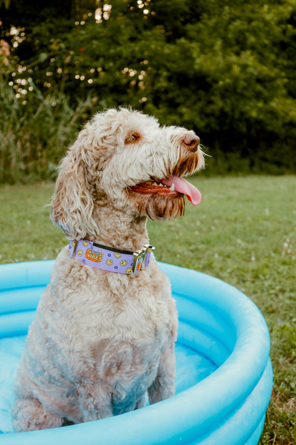 Retro Good Vibes Collar