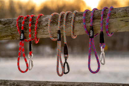 Swivel All-Terrain Dog Leash - Red