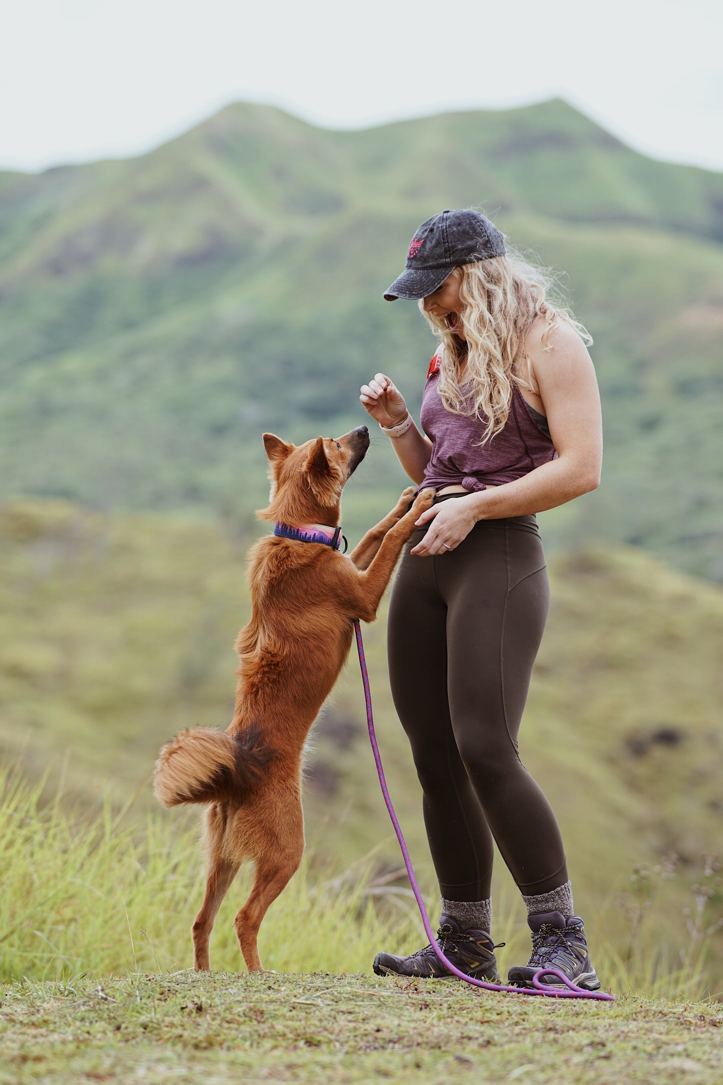 Mountain Sunrise Dog Collar