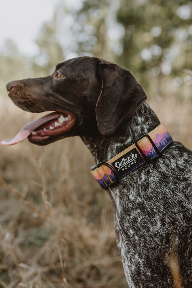 Mountain Sunrise Dog Collar