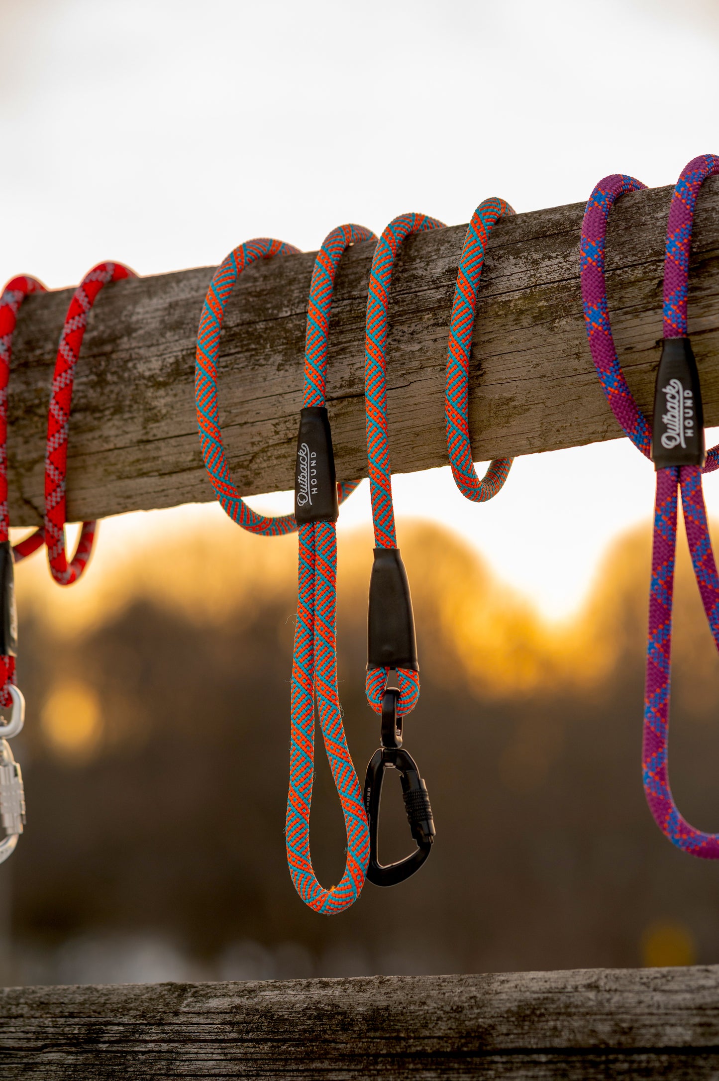 Swivel All-Terrain Dog Leash - Orange