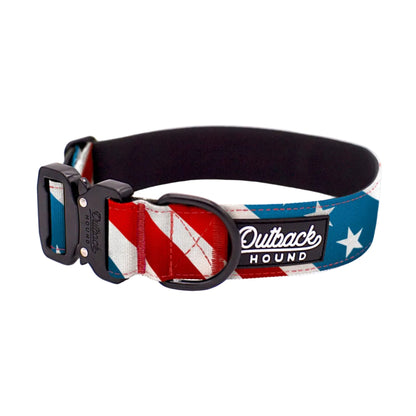 The Patriot Dog Collar