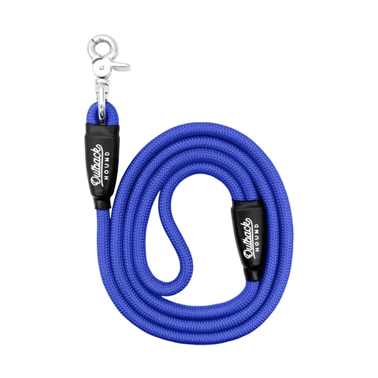 Periwinkle Everyday Dog Leash
