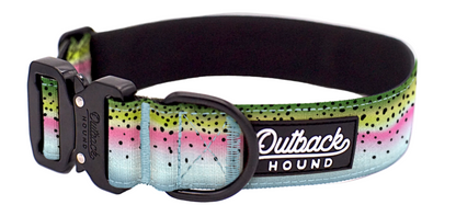 Rainbow Trout Dog Collar